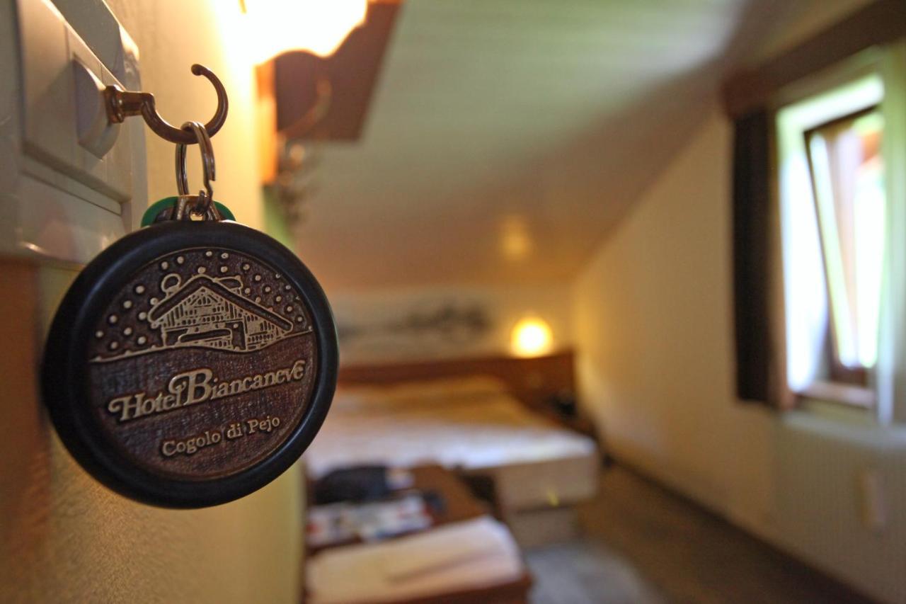 Biancaneve Hotel Cogolo